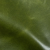 Emerald 8010