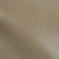 Wheat 7007