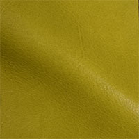 Cardamom 8520