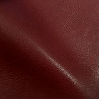 Elderberry 4275
