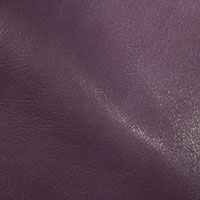 Lavender 6060