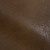 Mocha 2579