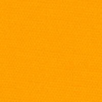 Slicker Yellow