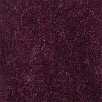 Elderberry