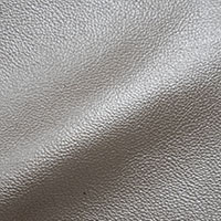 Grey 1731