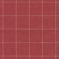 Raspberry