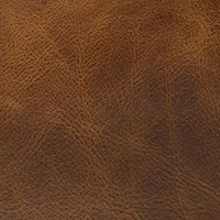 Cinnamon